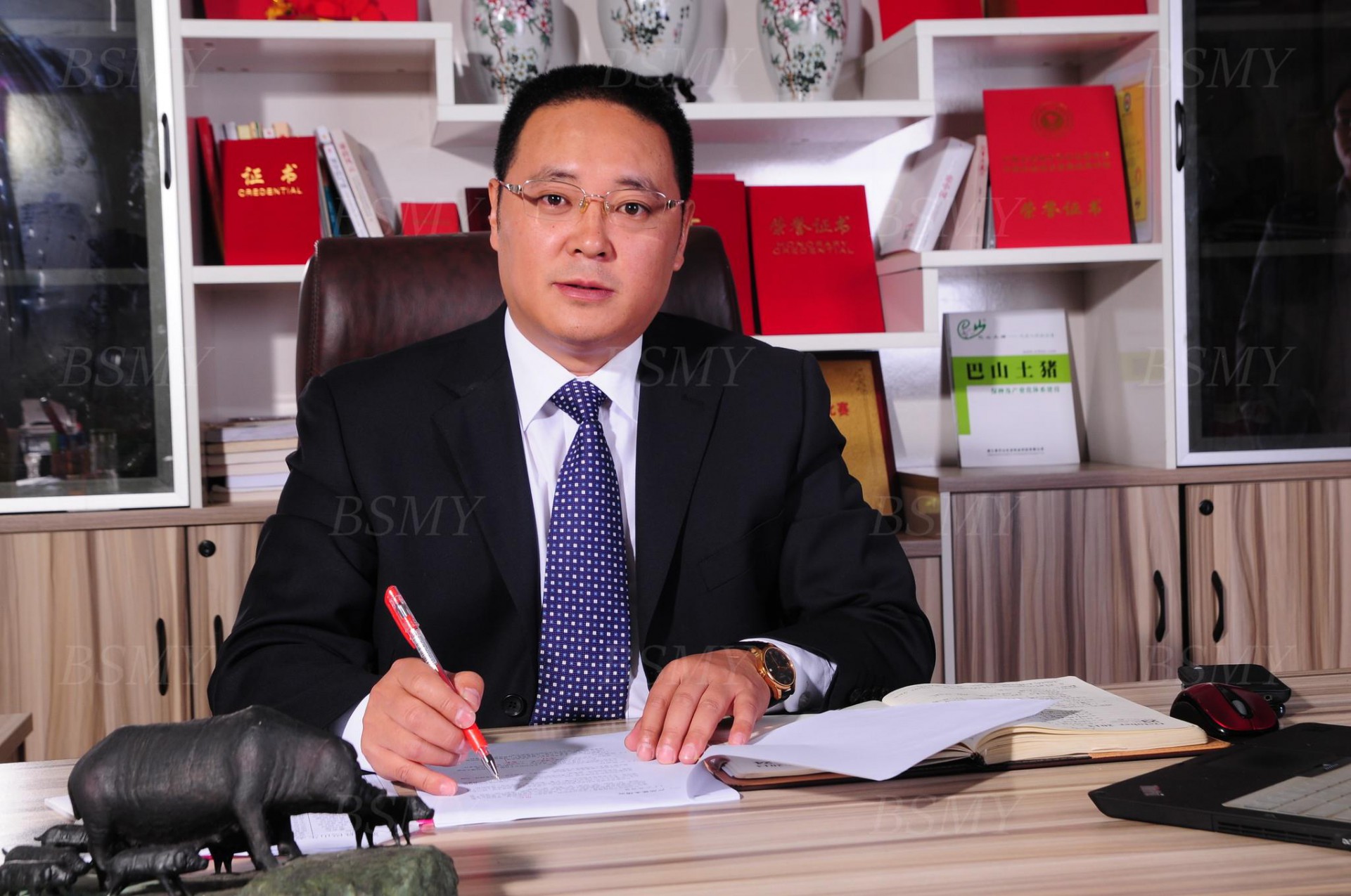 熱烈祝賀巴山牧業(yè)集團(tuán)張育賢董事長榮獲四川省“四川杰出人才獎(jiǎng)”